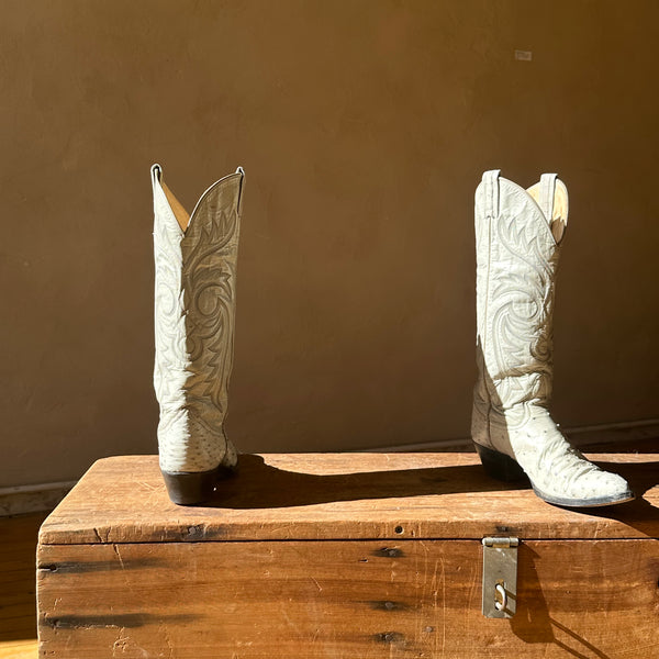 IMG_2185_600x600_crop_center.