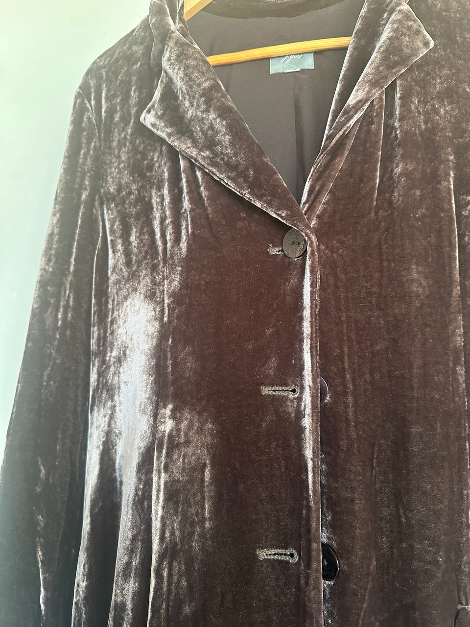 Velvet Coat